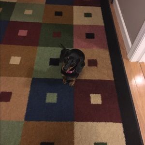 Meet your Posher, Sara