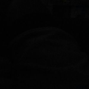 Meet your Posher, Rodney