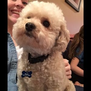 Meet your Posher, Grant