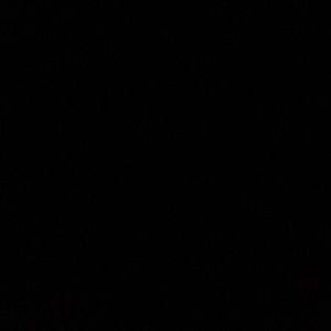 Meet your Posher, Nina