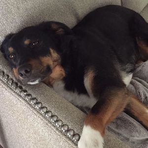 Meet your Posher, Deanna