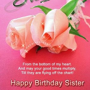 Meet your Posher, Toni