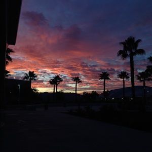 Meet your Posher, Diana