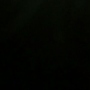 Meet your Posher, Elisa