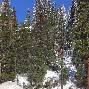 Meet your Posher, Austin