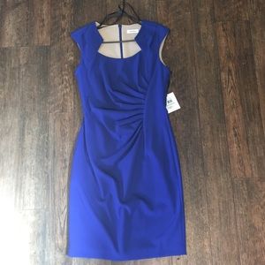 8 Calvin Klein Dress