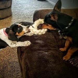 Meet your Posher, Terri