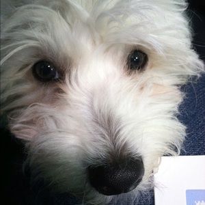 Meet your Posher, Jacquelyn