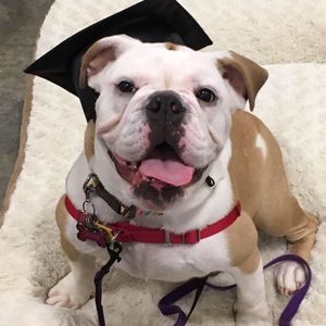 Meet your Posher, Angela