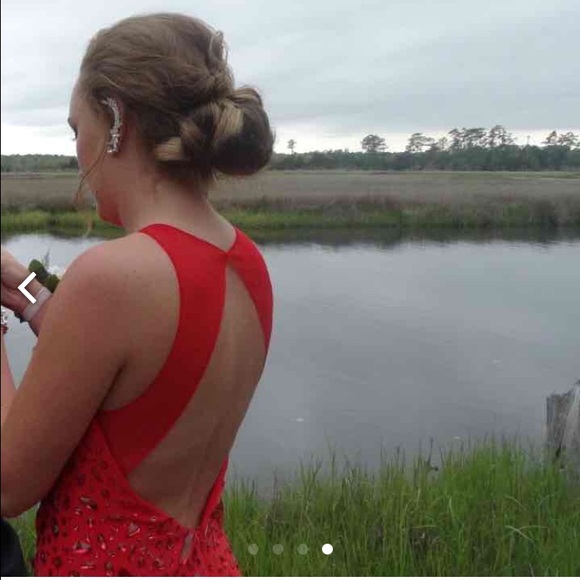 Long Red Dress - Picture 4 of 4