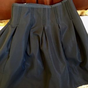 NWT Fabulous pleated GAP skirt