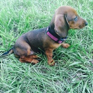 Meet your Posher, Eli