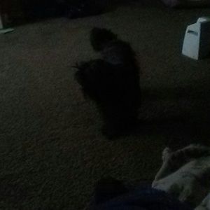 Meet your Posher, Rebecca