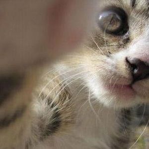 Meet your Posher, Liana