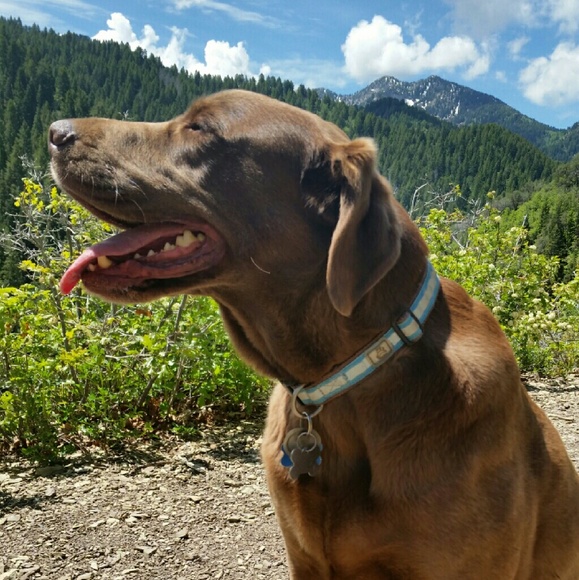 Meet your Posher, Shonti