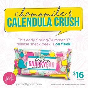 Perfectly Posh Snarky Bae Bae chunk!