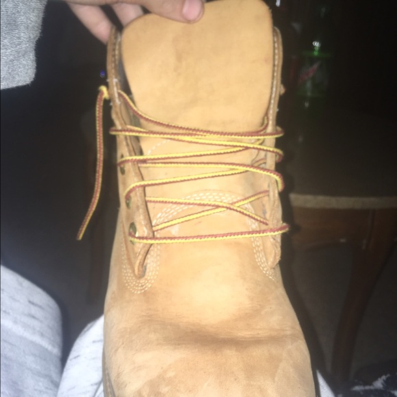 Timberlands - Picture 3 of 3