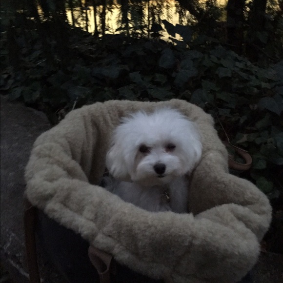 Meet your Posher, Erin - Picture 1 of 1