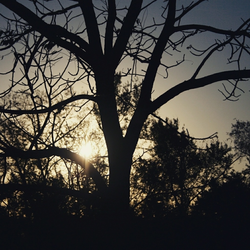 Meet your Posher, Dasha