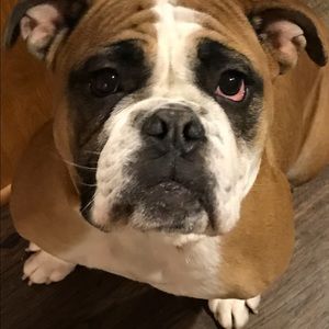 Meet your Posher, Brittany