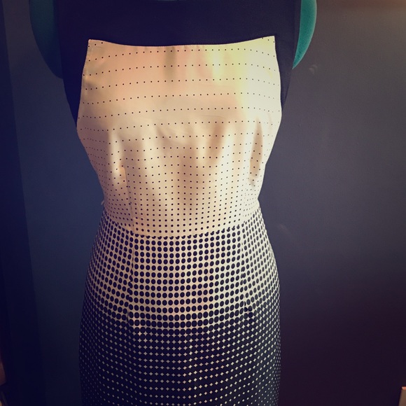 The Limited Dress