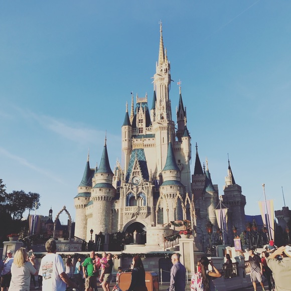 Meet your Posher, Rosa - Picture 2 of 3