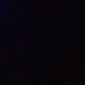 Meet your Posher, Rose