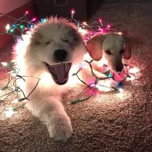 Meet your Posher, Kristten