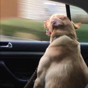 Meet your Posher, Daniel