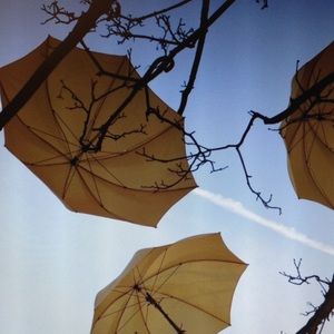 Meet your Posher, Zeynep