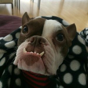 Meet your Posher, Natalia