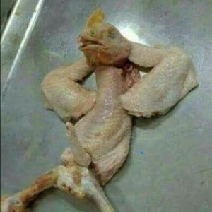 Meet your Posher, Onyx