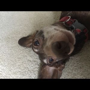 Meet your Posher, Wendy