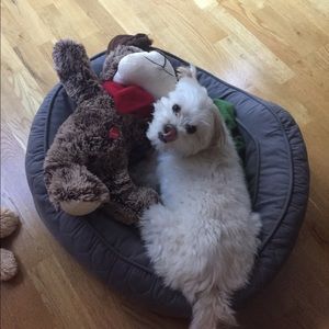 Meet your Posher, Donald