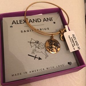 Sagittarius Alex and Ani