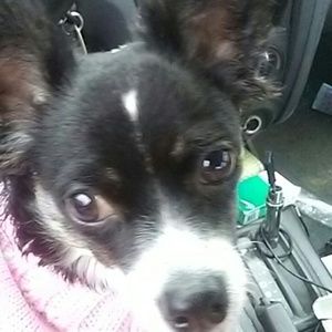 Meet your Posher, Althea