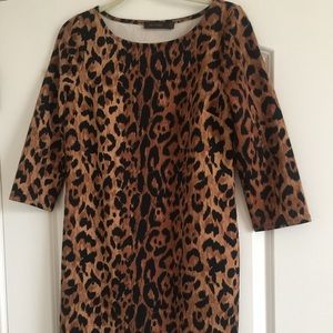 shift dress, the limited