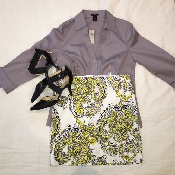 Ann Taylor Madison Skirt