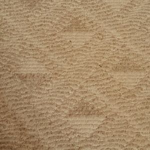 Meet your Posher, Luz