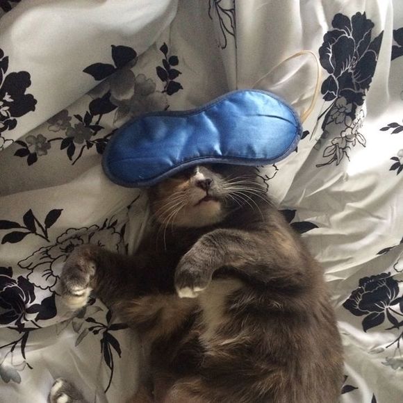 Meet your Posher, Teri - Picture 1 of 1