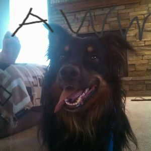 Meet your Posher, Jackson