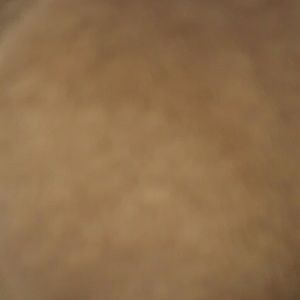 Meet your Posher, Lea