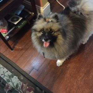 Meet your Posher, Brenda