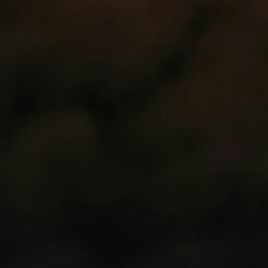 Meet your Posher, Kylie