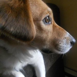 Meet your Posher, Diane