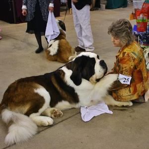 Meet your Posher, Marilyn