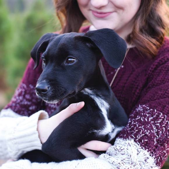 Meet your Posher, Betsy