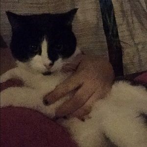 Meet your Posher, Kristy