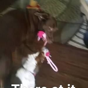 Meet your Posher, Emma