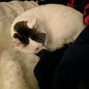 Meet your Posher, Karla-anne